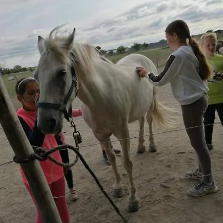 *** Plauter Kúria Hotel Veľký Meder