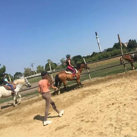 *** Plauter Kuria Veľký Meder