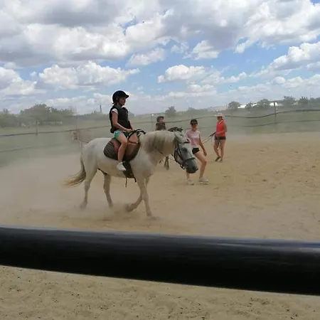 *** Plauter Kúria Hotel 3*