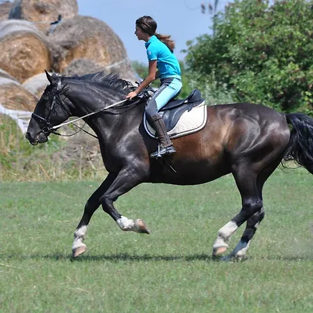 *** Plauter Kúria 3* Veľký Meder