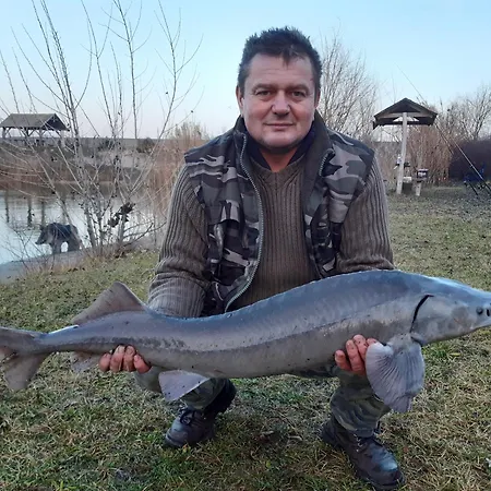 *** Plauter Kúria Hotel 3*