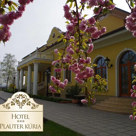 Hotel Hotel *** Plauter Kuria Velky Meder