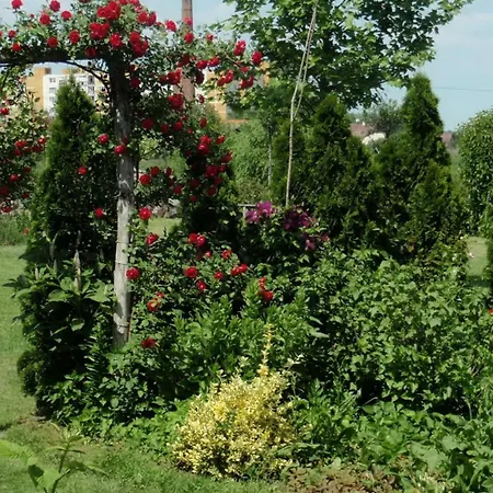 Hotel *** Plauter Kuria Velky Meder