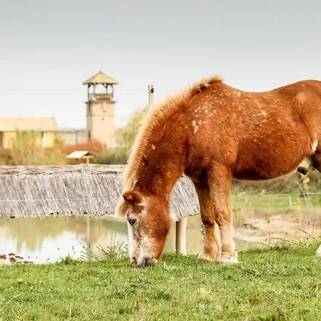 *** Plauter Kúria Hotel
