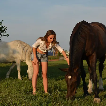 *** Plauter Kuria 3* Veľký Meder