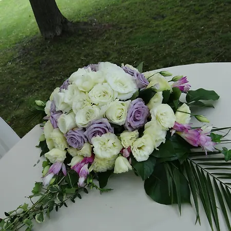 *** Plauter Kúria 3*