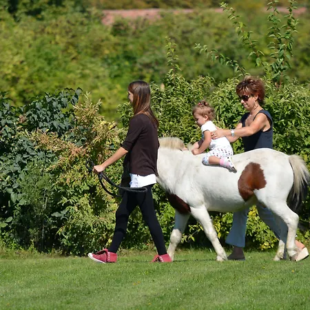 Hotel *** Plauter Kúria 3*