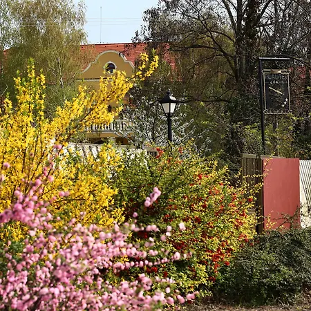 Hotel *** Plauter Kuria Velky Meder