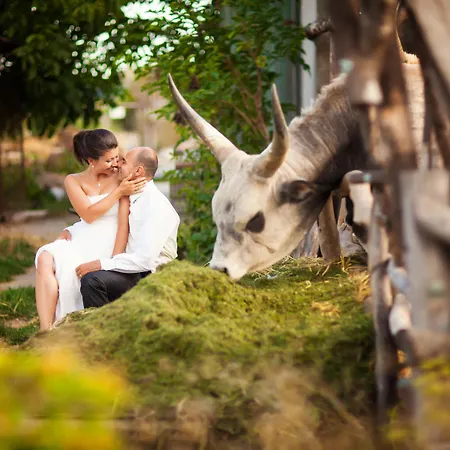 *** Plauter Kuria Otel