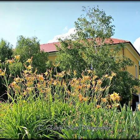 *** Plauter Kúria Veľký Meder