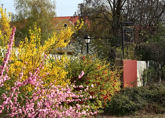 *** Plauter Kuria Veľký Meder